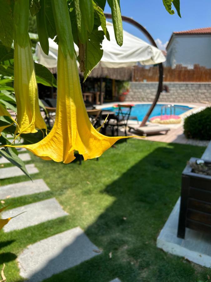 Pupa Alacati Butik Otel Çeşme Luaran gambar