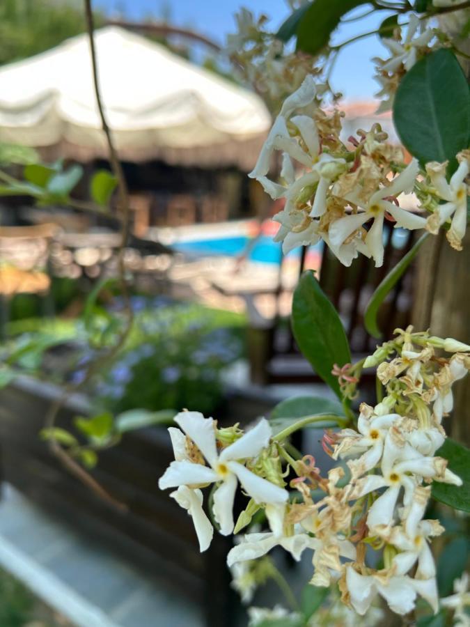 Pupa Alacati Butik Otel Çeşme Luaran gambar